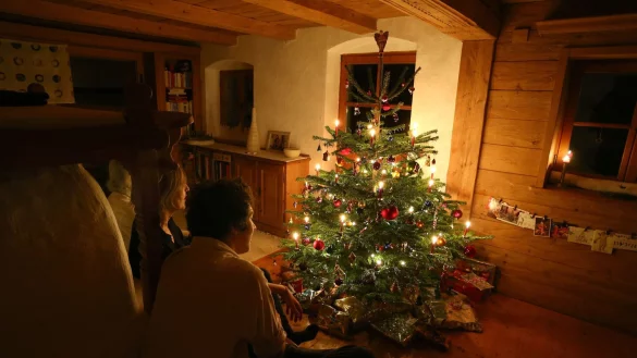 Online oder vor Ort? Mehr als die H&auml;lfte der Befragten plant, sich den Christbaum im station&auml;ren Handel zu holen. - &copy; Karl-Josef Hildenbrand/dpa-tmn