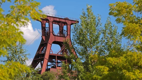 Die Besucher &laquo;fliegen&raquo; in einem Virtual-Reality-Film &uuml;ber das Ruhrgebiet in einem historischen Flugzeug. (Archivfoto) - &copy; Oliver Berg/dpa