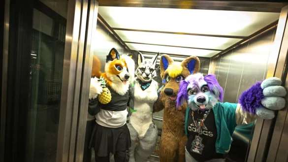 Etwa 100.000 Menschen geh&ouml;ren Sch&auml;tzungen zufolge mittlerweile dem Furry Fandom in Deutschland an - Tendenz steigend. (Archivbild) - &copy; Felix K&auml;stle/dpa