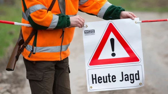 Mit 41.611 Wildschweinen wurden im vergangenen Jagdjahr in NRW rund 40 Prozent mehr erlegt als im Vorjahr. (Archivbild) - &copy; Friso Gentsch/dpa