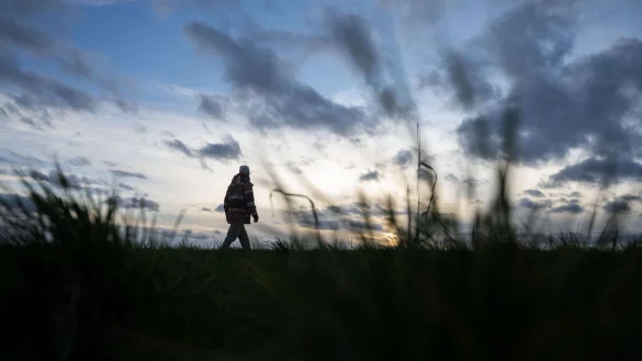 Bei gutem Wetter durch die Natur spazieren: Ist das die Aussicht, f&auml;llt das Aufraffen zum Spaziergang leicht. - &copy; Marijan Murat/dpa/dpa-tmn
