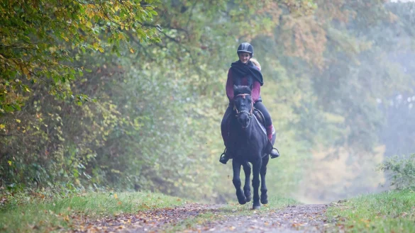 Mit der passenden Ausrüstung sicher unterwegs: Die Grundausstattung für Reiter gibt es ab etwa 150 Euro. - © Christin Klose/dpa-tmn