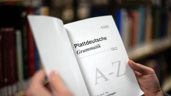 «Tünkram»oder «Tüdelkram»? Scholz\\\' Attacke gegen Friedrich Merz wirft ganz neue Fragen auf. (Symbolbild) - © Sina Schuldt/dpa