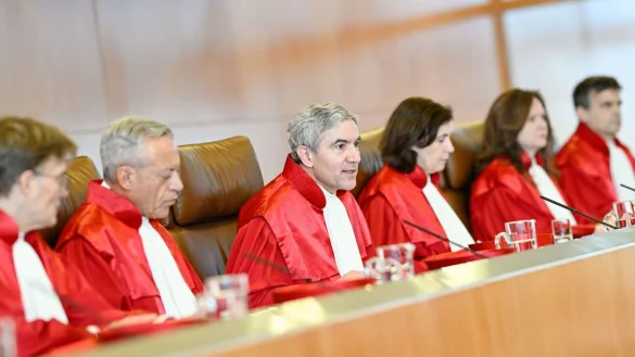 Der Erste Senat hat die Klagen von &Ouml;kostromerzeugern zur&uuml;ckgewiesen. - &copy; Uwe Anspach/dpa