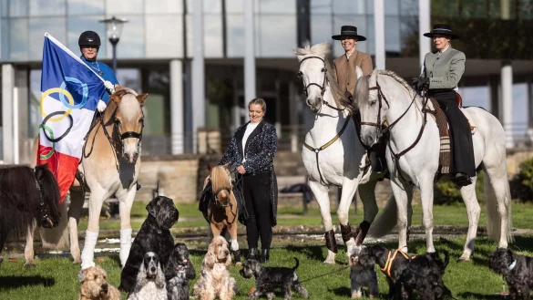 Drei Tage lang dreht sich bei der Dortmunder Messe alles um die Vierbeiner. - &copy; Dieter Menne/dpa