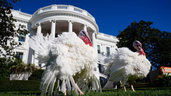 In den USA wird das Erntedankfest gefeiert. - &copy; Susan Walsh/AP