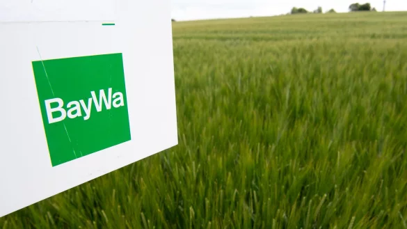 Die Baywa ist der gr&ouml;&szlig;te deutsche Agrarh&auml;ndler. Wegen Schulden in Milliardenh&ouml;he steht dem Konzern eine jahrelange schmerzliche Sanierung bevor. (Archivbild) - &copy; Fabian Sommer/dpa