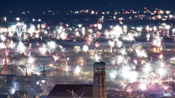 Zahlreiche Wildtiere werden aufgeschreckt, wenn das Feuerwerk startet. (Archivbild) - © Lennart Preiss/dpa