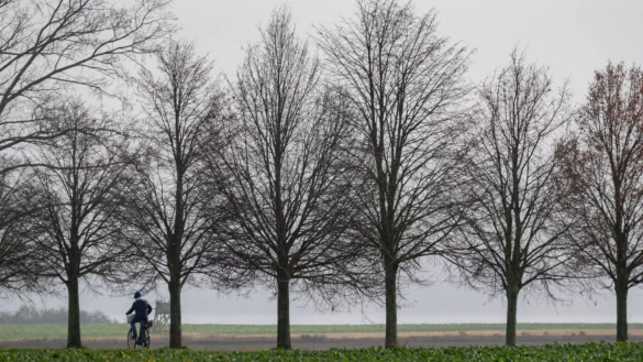 In den nächsten Tage bleibt das Wetter überwiegend trüb. (Symbolbild) - © Stefan Sauer/dpa