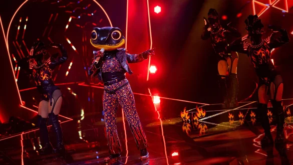 Der Feuersalamander hat es bei «The Masked Singer» nicht ins Finale geschafft. (Archivbild) - © Rolf Vennenbernd/dpa