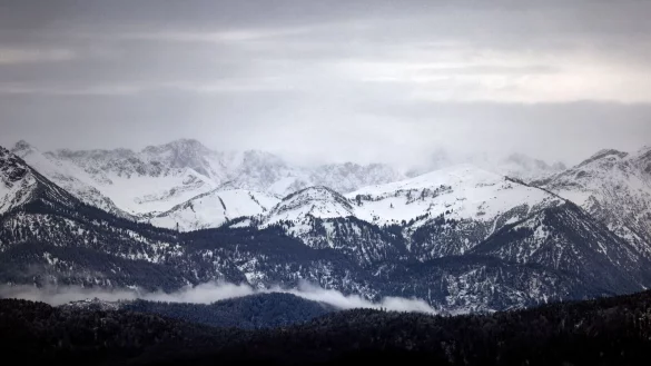 Weiß wird es an Weihnachten wohl nur in Alpennähe. - © Karl-Josef Hildenbrand/dpa