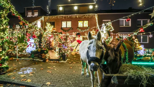 Die Nachbarn staunen: Zur Er&ouml;ffnung des Oberhausener Weihnachtshauses stehen zwei Pferde vor der T&uuml;r von Dirk van Acken - &copy; Christoph Reichwein/dpa