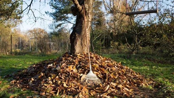 Laubberge im Garten können vielen Tieren im Winter als Unterschlupf dienen. - © Florian Schuh/dpa-tmn