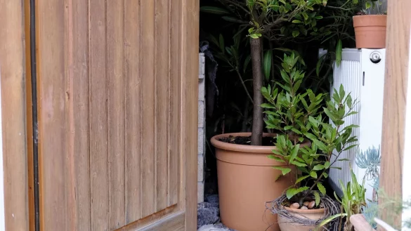 Bei der Suche nach einem geeigneten Winterquartier f&uuml;r Pflanzen sind Temperatur und Licht entscheidende Faktoren. - &copy; Zacharie Scheurer/dpa-tmn