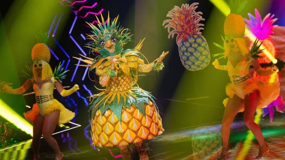&laquo;Lady Ananas&raquo; ist bei &laquo;The Masked Singer&raquo; raus. (Archivbild) - &copy; Rolf Vennenbernd/dpa