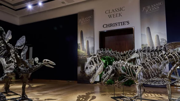 Die Fossilien sind schätzungsweise 157 bis 145 Millionen Jahre alt. - © 2024, Christie’s Images Limited/dpa