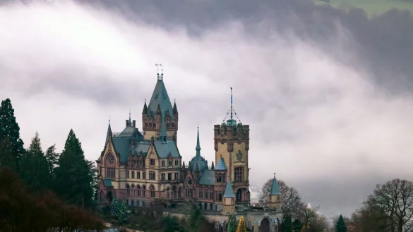 Weihnachtsbäume leuchten an der im Nebel liegenden Drachenburg. - © Thomas Banneyer/dpa