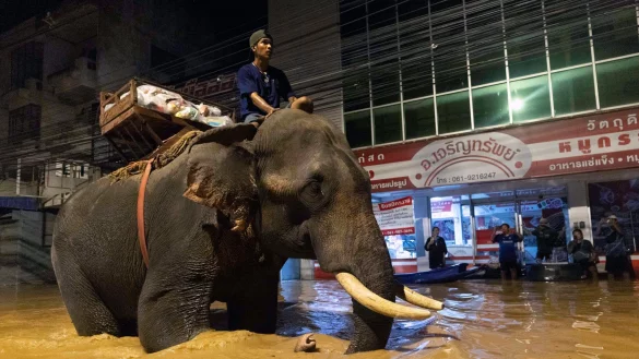 Der M&ouml;nch sagte, er habe den Wasserstand und die Str&ouml;mungen genau abgew&auml;gt (Foto aktuell). - &copy; Wason Wanichakorn/AP/dpa