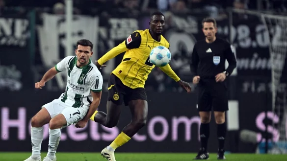 Serhou Guirassy spielte den Ball im eigenen Strafraum klar mit der Hand - © Federico Gambarini/dpa