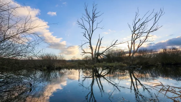 Zum Wochenstart wird mildes und unbeständiges Wetter in Deutschland erwartet. - © Thomas Warnack/dpa