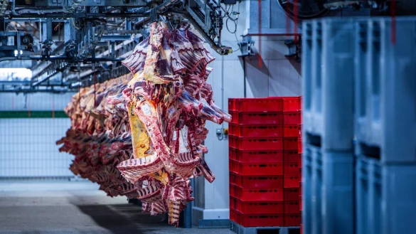 Der Schlachthof wurde am Montag zun&auml;chst geschlossen. (Symbolbild) - &copy; Jens B&uuml;ttner/dpa