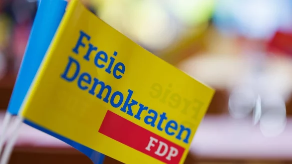 Derzeit kein R&uuml;ckenwind: Die FDP in der Krise - &copy; Daniel Karmann/dpa