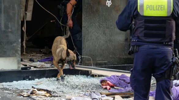 Ein Polizeihund in den Trümmern des Geschäftes in der Kölner Ehrenstraße im September. - © Henning Kaiser/dpa