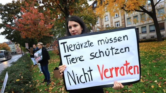 Zwei amtliche Tier&auml;rztinnen sollen den Schlachthof Aschaffenburg vor unangek&uuml;ndigten Kontrollen gewarnt haben. - &copy; Karl-Josef Hildenbrand/dpa
