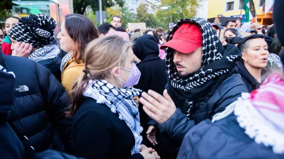 An der propal&auml;stinensischen Demo mit dem Titel &laquo;Solidarit&auml;t mit Pal&auml;stina&raquo; nahm auch die schwedische Aktivistin Greta Thunberg teil. - &copy; Christoph Soeder/dpa