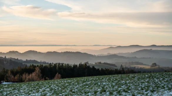 Weiße Weihnachten bleiben wohl den Mittelgebirgen vorbehalten (Archivbild). - © Silas Stein/dpa