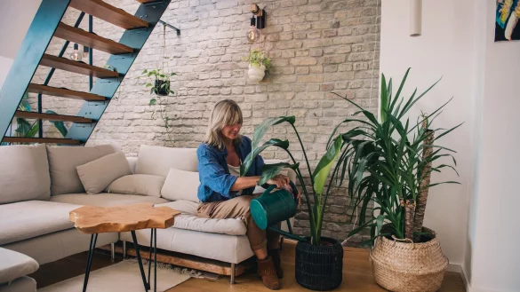 Pflanzen sollten weder nass noch trocken auf die Umzugstour gehen - am besten gie&szlig;t man sie einige Tage vorher. - &copy; Zacharie Scheurer/dpa-tmn