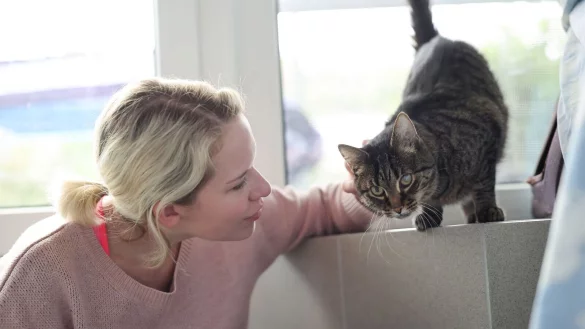 Weil die Festangestellten in Tierheimen voll ausgelastet sind, übernehmen ehrenamtliche Katzenstreichlerinnen wie Christina Haas das Kraulen und Spielen. - © Daniel Löb/dpa