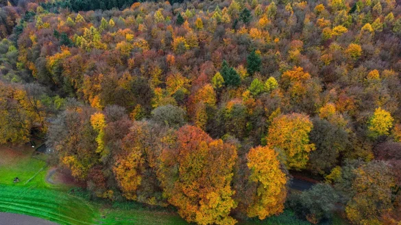 Die Bürger im Kreis Kleve haben dagegen gestimmt, dass es bei Ihnen in der Region einen zweiten Nationalpark in NRW geben soll. (Archivbild) - © Oliver Berg/dpa