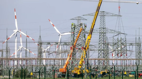 Stromnetze spielen eine zentrale Rolle bei der Energieversorgung. (Archivbild) - © Jan Woitas/dpa