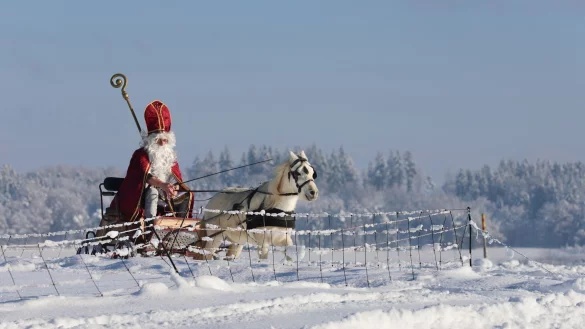Viele stellen sich ideale Weihnachten so vor: Drinnen leuchtet der Baum, draußen türmt sich der Schnee. (Archivbild) - © Thomas Warnack/dpa