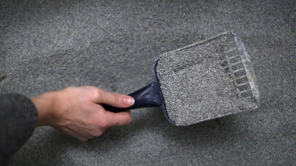 Nach dem Geschäft: Sind im Katzenklo keine Klumpen zu finden, ist das nicht unbedingt eine gute Nachricht. - © Ina Fassbender/dpa-tmn