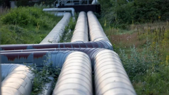 Europas größte Flusswärmepumpe soll in Köln am Rhein entstehen. Dem Rheinwasser entnommene Wärme wird ins Fernwärmenetz der Stadt eingespeist. 2027 soll die Anlage in Betrieb genommen werden. - © Thomas Banneyer/dpa