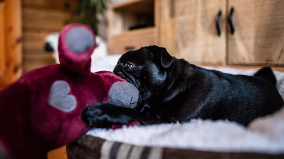 Der Streitfall wird nun vor dem OLG in Hamm verhandelt. (Foto Archiv) - &copy; Guido Kirchner/dpa