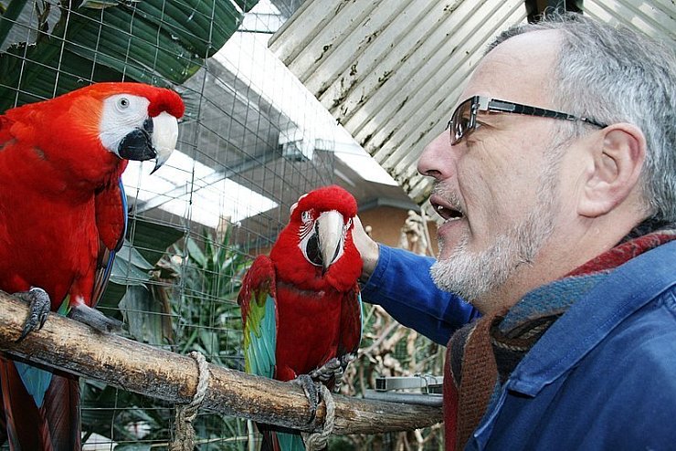 Wolfgang Busse und seine Papageien. - © Foto: Frevert
