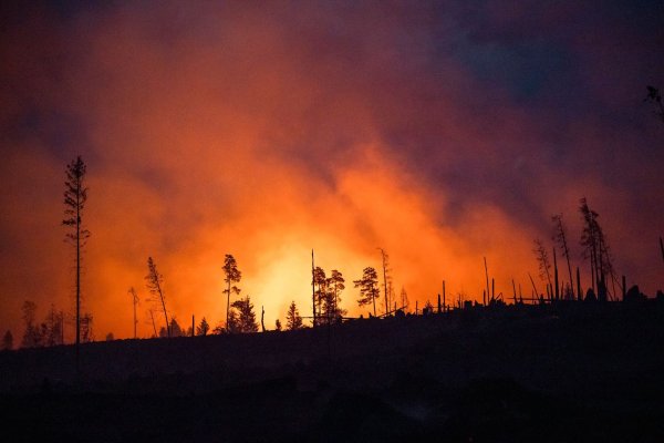 Waldbrände fachen mit ihren Emissionen die Erderwärmung zusätzlich an. (Illustraiton) - © Daniel Vogl/dpa