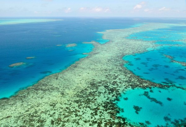 Das Great Barrier Reef in Australien. (Archivbild) - © Uncredited/Kyodo News via AP/dpa