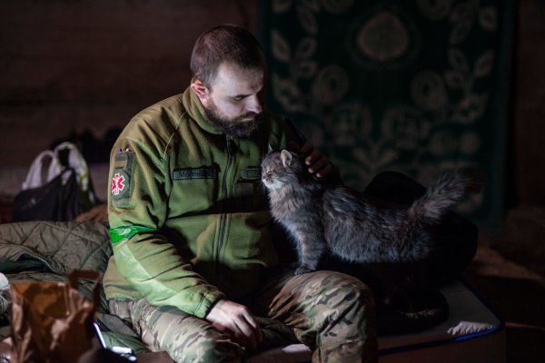 Ein ukrainischer Soldat streichelt in einem Unterstand in der Region Donzek eine Katze. - © Iryna Rybakova/Iryna Rybakova/AP/dpa