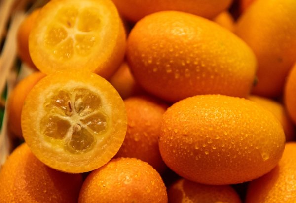 Kleine Frucht, großer Geschmack: Kumquats sind nur pflaumengroß, vereinen in sich aber süße und saure Aromen. - © Zacharie Scheurer/dpa-tmn