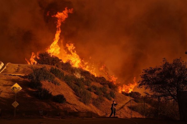 Seit dem 7. Januar 2025 wüten im Großraum Los Angeles eine Reihe von Großbränden. (Archivbild) - © Jae C. Hong/AP/dpa