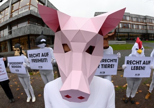 Peta-Protest - © Foto: Uli Deck/dpa