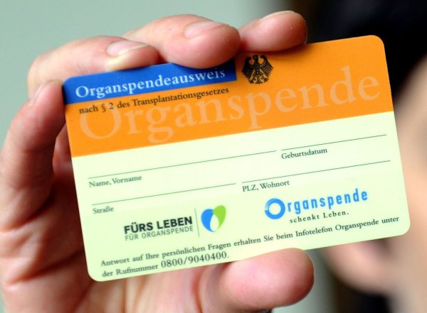 Im vergangenen Jahr standen 8.400 Menschen auf Wartelisten für eine Organspende. (Symbolbild) - © Caroline SeidSeidel-Dißmannel/dpa