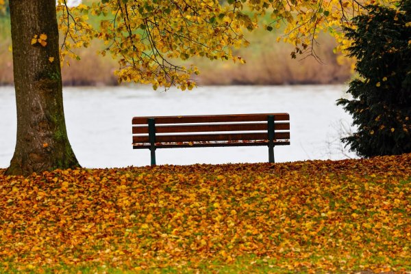 Milde Temperaturen und kaum Regen in der neuen Woche. (Symbolbild) - © Thomas Banneyer/dpa