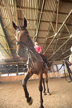 Selbstversuch: Beim Reit- und Fahrverein Lemgo hat LZ-Volontärin Freya Köhring an einer Reitstunde teilgenommen. - © Vera Gerstendorf-Welle