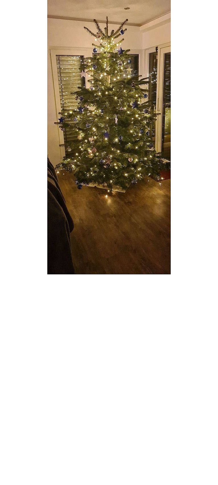 Weihnachtsbäume in Lippe