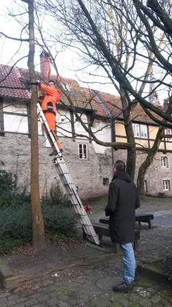 "Querbeet" h&auml;ngt einen Nistkasten ind er Grabenstra&szlig;e auf. - &copy; Querbeet